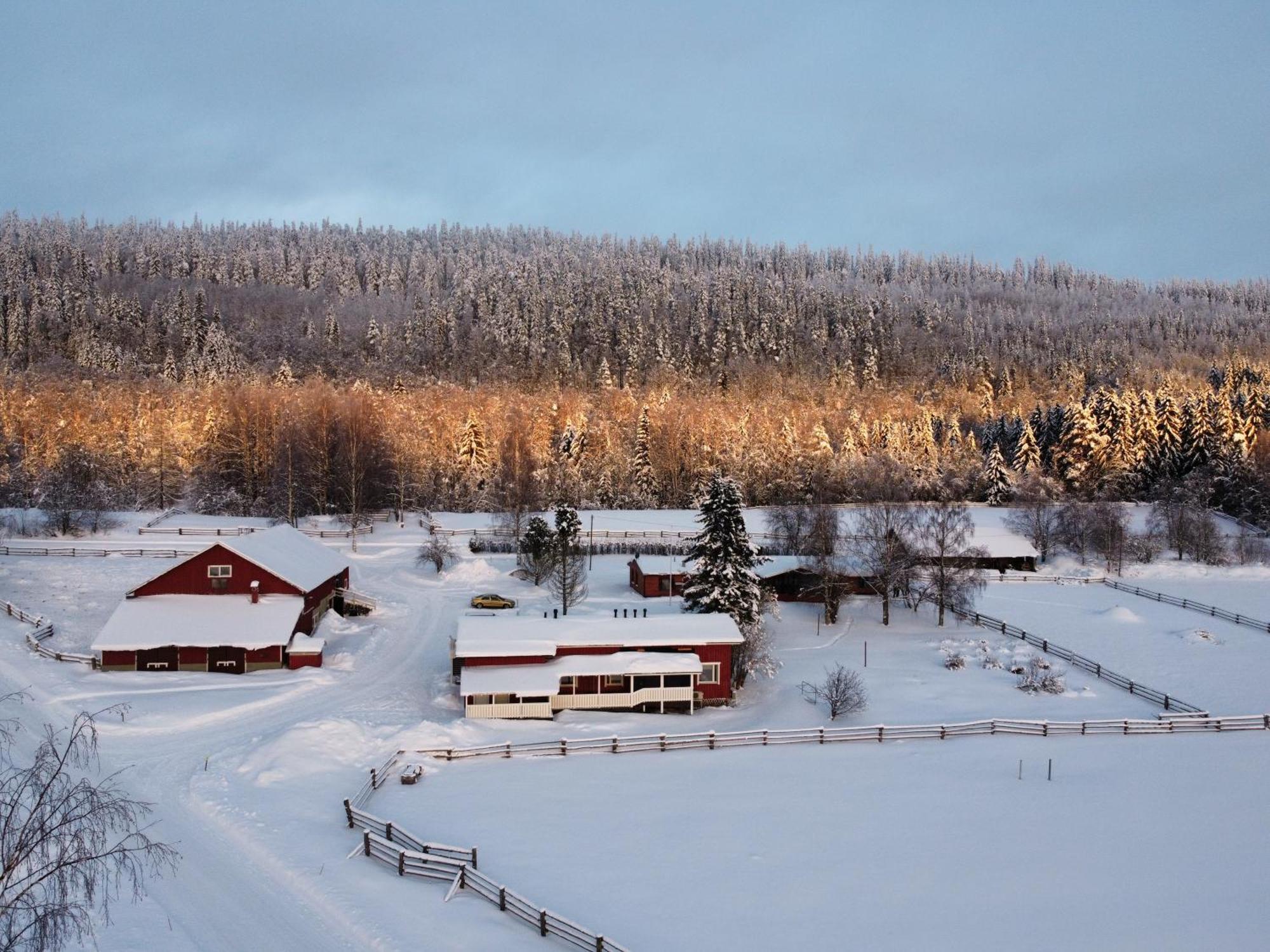 Paimentupa Villa Kolinkylä Dış mekan fotoğraf