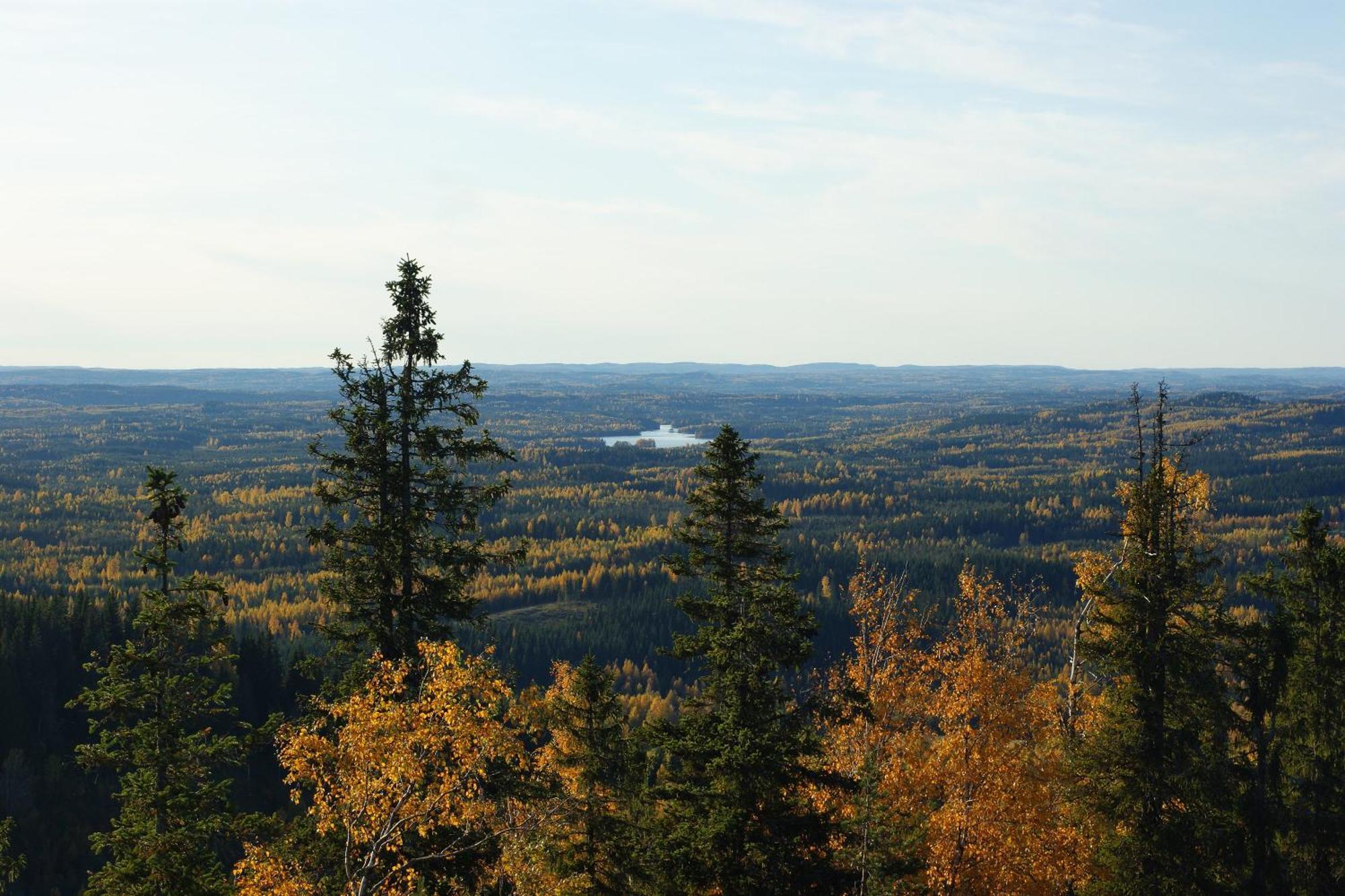 Paimentupa Villa Kolinkylä Dış mekan fotoğraf