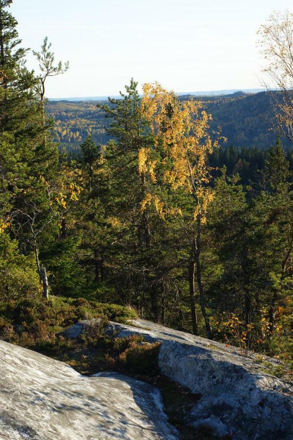 Paimentupa Villa Kolinkylä Dış mekan fotoğraf
