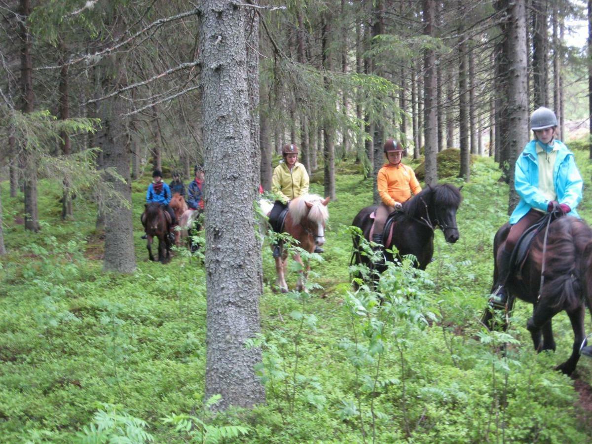Paimentupa Villa Kolinkylä Dış mekan fotoğraf