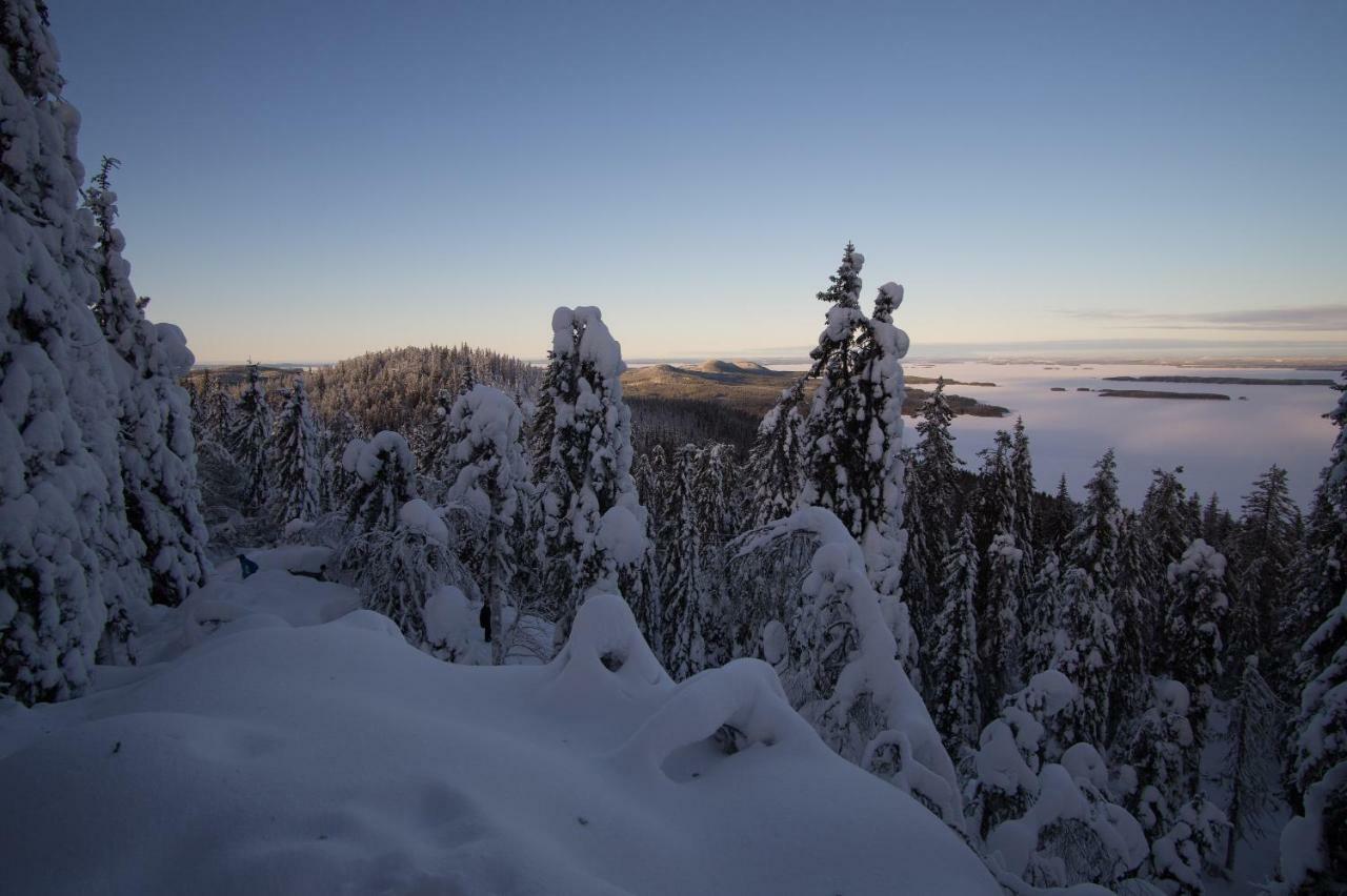 Paimentupa Villa Kolinkylä Dış mekan fotoğraf